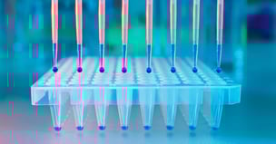 Close-up of PCR wells