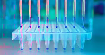 Close-up of PCR wells