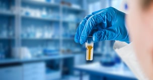 Close-up of scientist examining assay