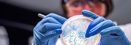Scientist examining biological sample
