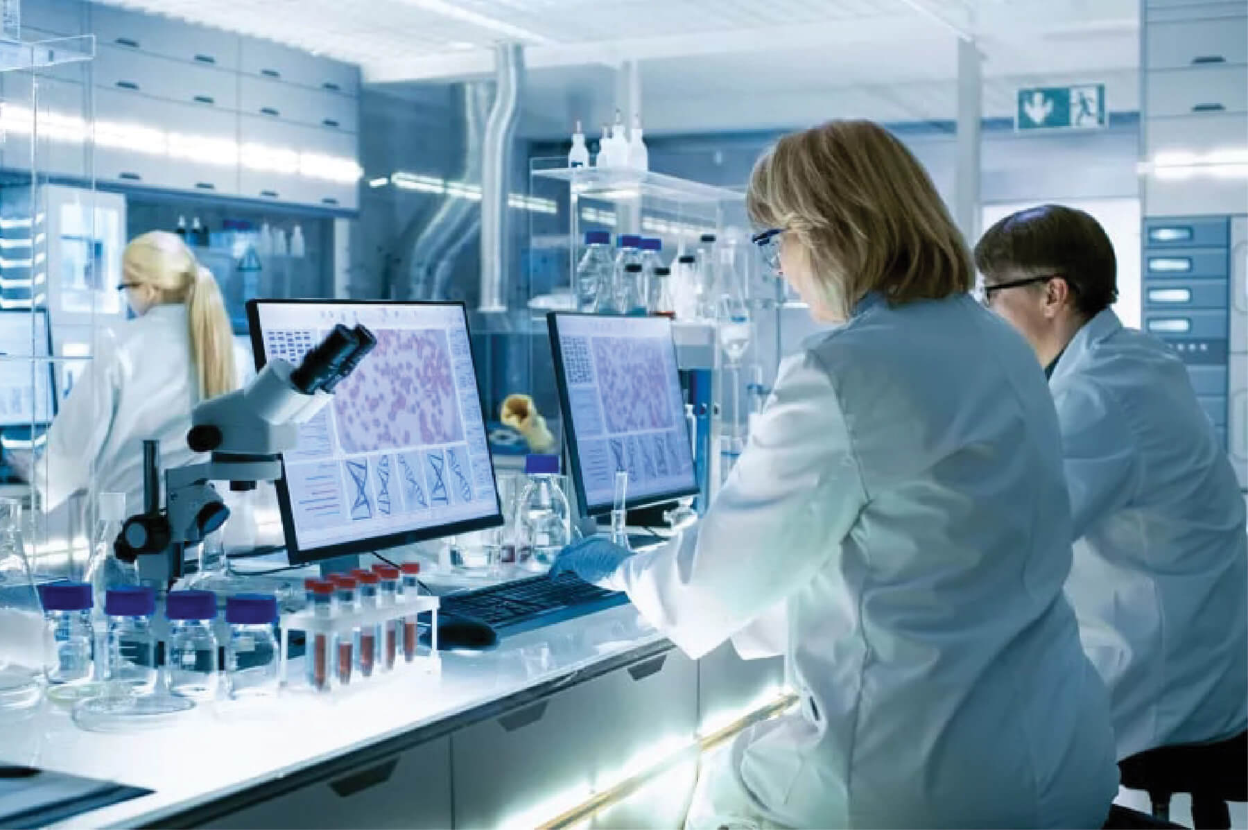 Photo of two scientists at computers in a lab