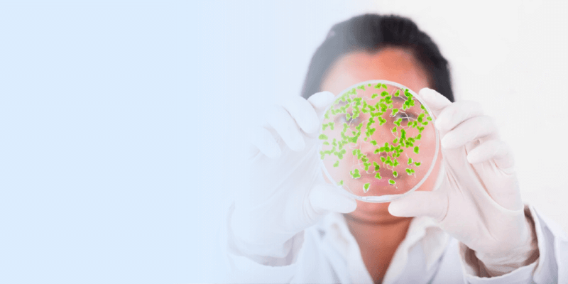 Closeup of scientist and petri dish