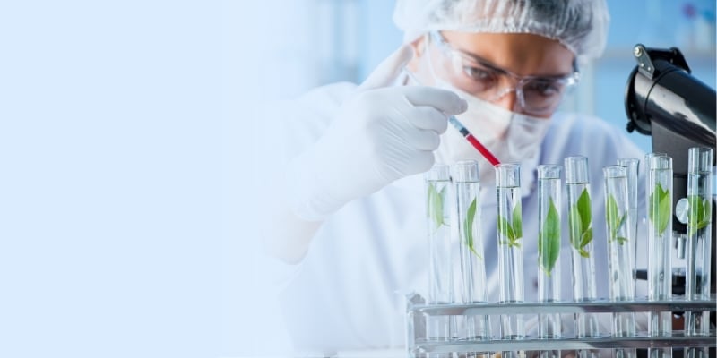 MARKETPLACE Hero Page (2)