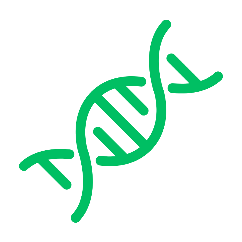 PCR - Cloning