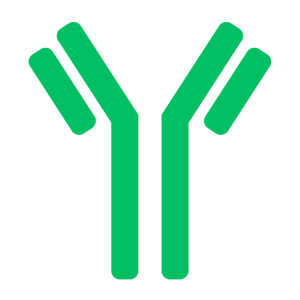 antibodies immunoassays