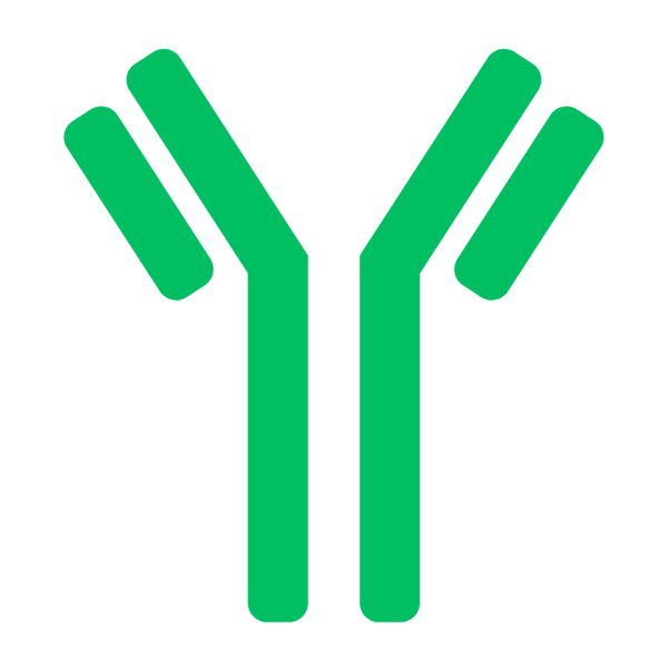 antibodies immunoassays