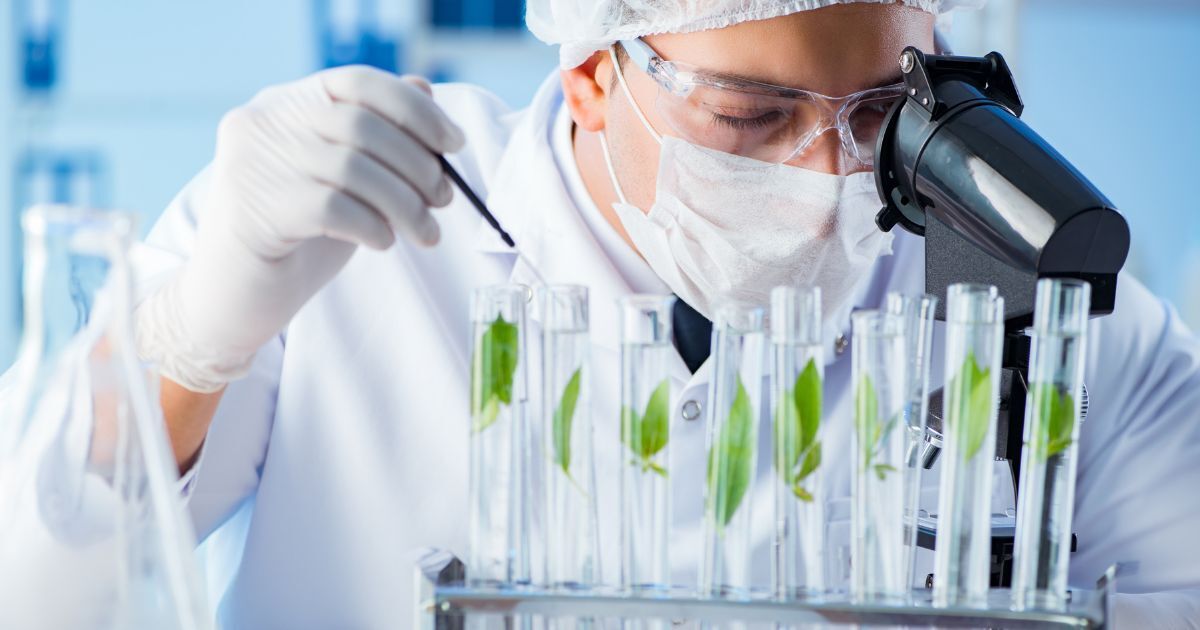 Scientist at bench and working with microscope