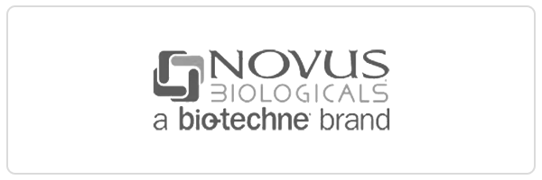 Novus